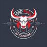 Lead Bull AI Canada