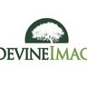 Devine Image Lawn and Landscape