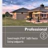 Professional Gutters