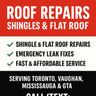 Spiderroofing exprt inc