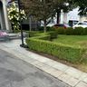 Oyaks landscaping services