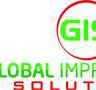 Global Improvement Solutions Inc.
