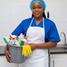 Spark Cleaning and Home Support Services