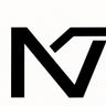 Next Vision Construction