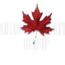 Canadian Kitchen Group Inc.