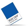 Blue Chip Painting Inc.