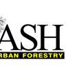 Ash Urban Forestry