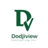Dodjiview Contracting Inc.