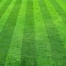 Turf theory