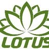 LOTUS