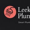 Leak Geeks