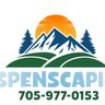 AspenScaping