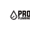 Pro Plumbing