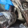 ProTech Plumbing and Building Services