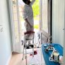 Painter