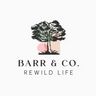 Barr & Co. Landscape and planter design