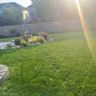 Oasis Lawn and Snow