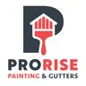 ProRise Painting and Gutters