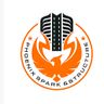 Phoenix spark & structure corporation