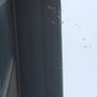 Breno Roofing Inc. work photo 4