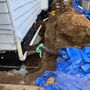 Red Seal Drainage & Plumbing Inc. work photo 3